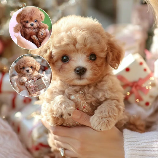 My Realistic Robot Puppy