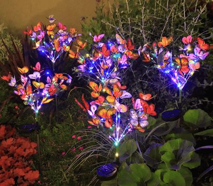 Solar Outdoor Butterfly Lights