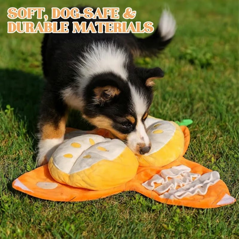 Orange Hide-and-Seek Plush Dog Toy