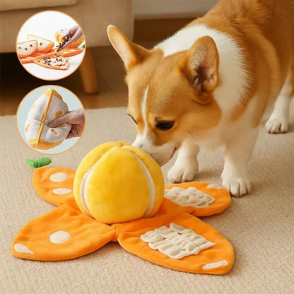 Orange Hide-and-Seek Plush Dog Toy