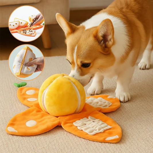 Orange Hide-and-Seek Plush Dog Toy