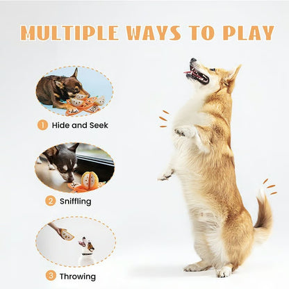 Orange Hide-and-Seek Plush Dog Toy