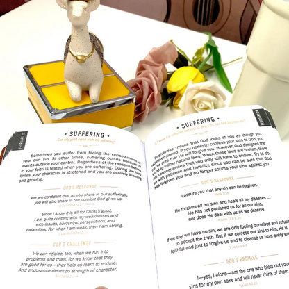 One Minute With God For Men 365 Days Devotional Journal Portable Daily Reflections Book